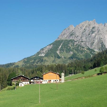 Ferienbauernhof Elmaugut Villa Muhlbach Am Hochkonig Luaran gambar