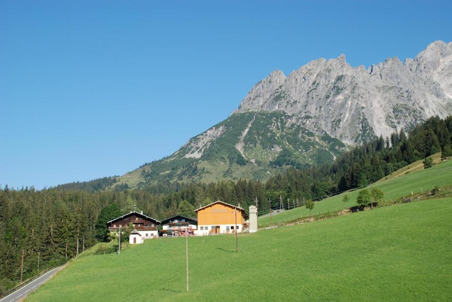 Ferienbauernhof Elmaugut Villa Muhlbach Am Hochkonig Luaran gambar