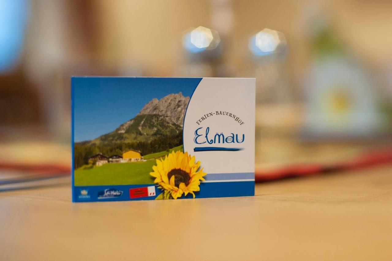 Ferienbauernhof Elmaugut Villa Muhlbach Am Hochkonig Luaran gambar